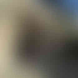 The arched stone entrance of the Church of All Nations (Basilica of the Agony) in Jerusalem.