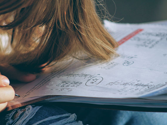 Българчета шампиони по математика