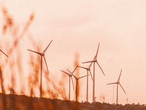 Eko-innowacje, które zmieniają świat