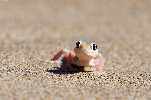 Image by Colin Watts