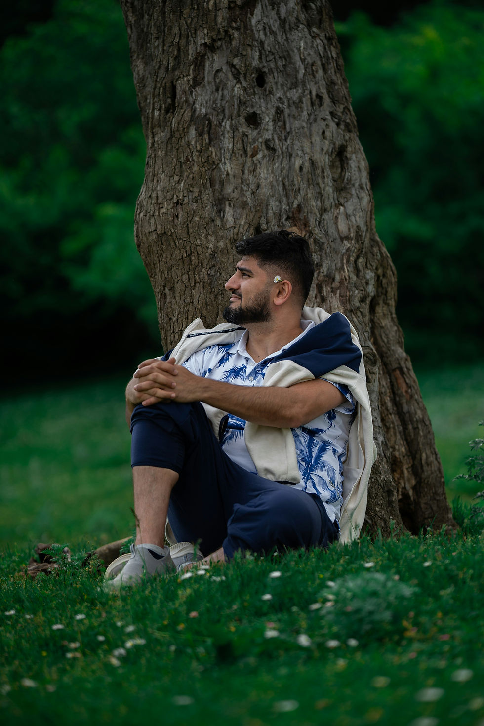 Asian man sitting beneath a tree with a daisy tucked behind his ear, representing calm, self-reflection, emotional wellbeing, and connection with nature.