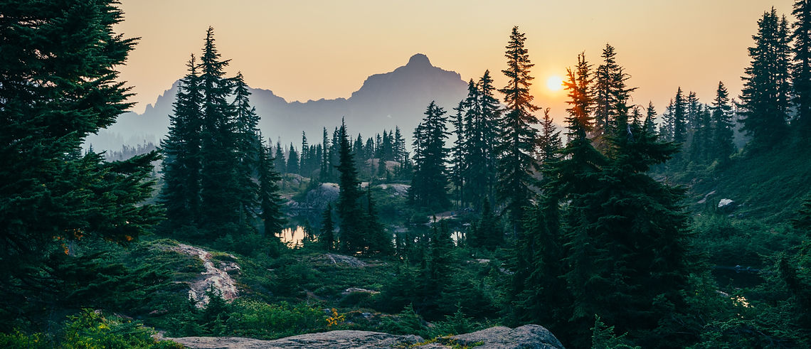 Image by Sergei A