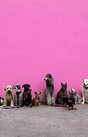 Image by Hannah Lim