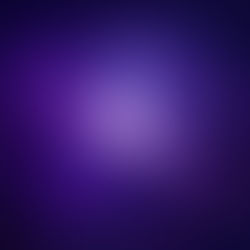 soft contrasting light symbolizing the difference between intuition and instinct