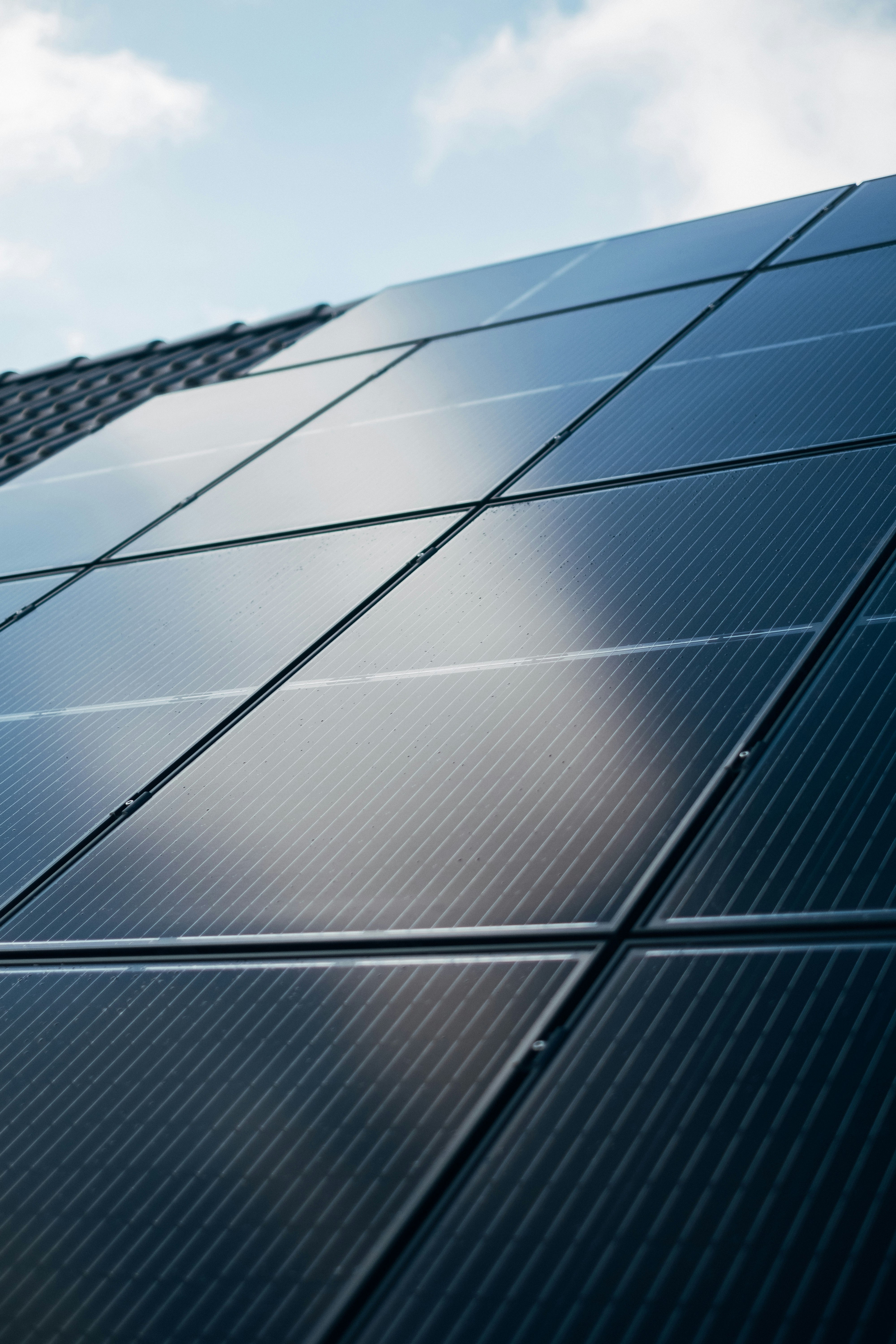 Contenedor paneles solares 695w