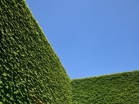 Do you keep putting off your yard maintenance?