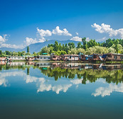 Image by Divya Agrawal