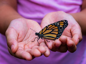 Transformation: Spiritual growth from the coach's view