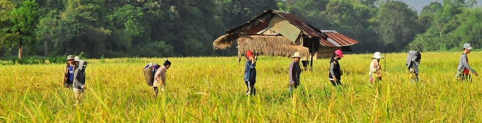 Weather in Phongsaly, Laos