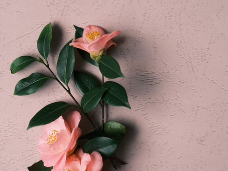 Exciting Adventures by Trisha Rapley...