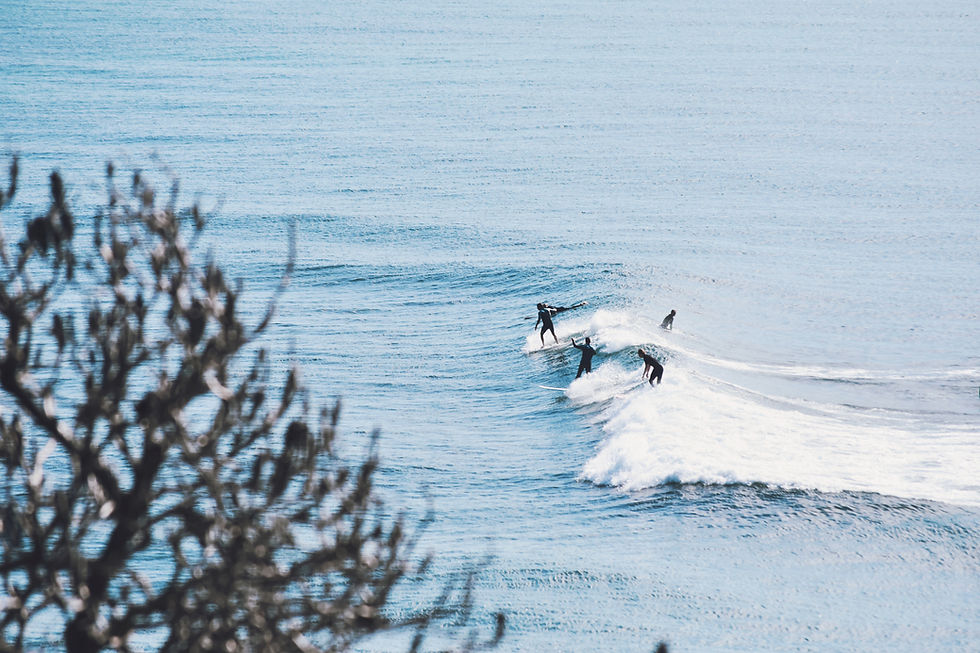 Image by Nick Sarvari