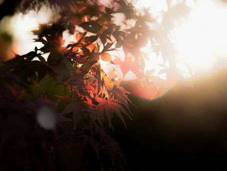 ルカによる福音書1章20節