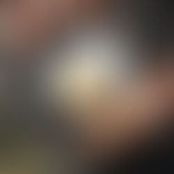 10 Benefícios da dieta carnívora inclusive a perda de peso