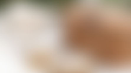 High Divide Minerals (Barrett Minerals) Present & Pass Employee Picnic