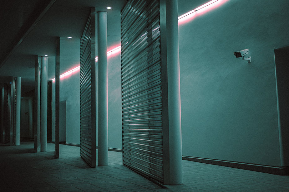 Image by Nathan Guzman