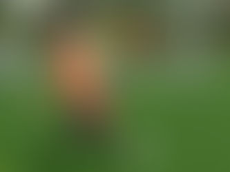 picture of an elderly footballer