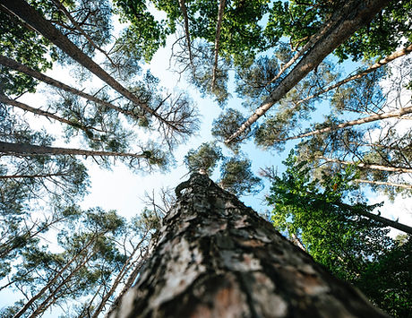 Image de Markus Spiske