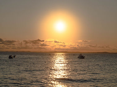 Image by Carol Magalhães