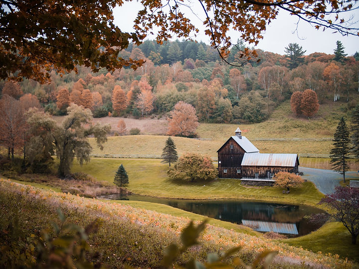 Image by Eric Chen