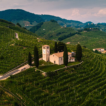 Exclusive Italian Winery Tour