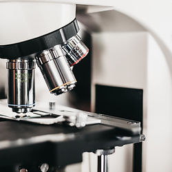 microscope display