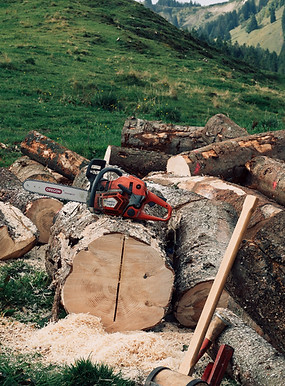 chainsaw resting atop some freshly sawn logs