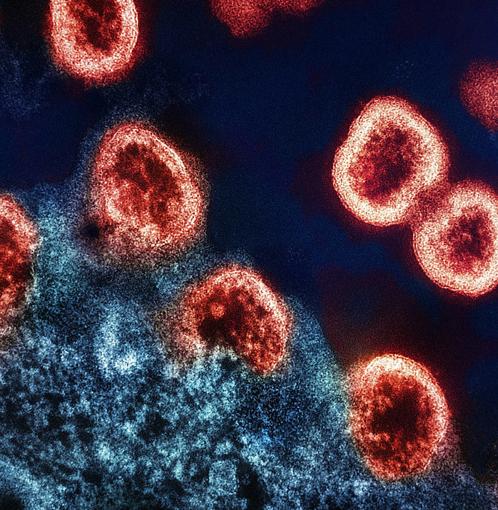 HIV Lessonplan for Middle School Science