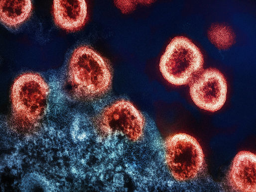 🧬 The HIV Rebels: Meet the "Elite Controllers" Who Defy the Virus Without Therapy