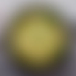 Rührei mit Microgreens – das 10-Minuten-Frühstück