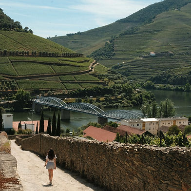 ENTRE O DOURO E A TERRA QUENTE