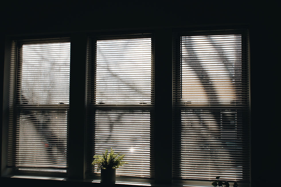 indoor blinds