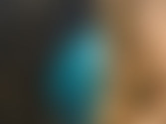 COP30 in Belém: Turning Promises into Action