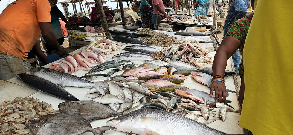 Photo Credit: Nico Smit
Fish market scene with tables of fresh fish, crabs, and prawns. People in colorful clothes interact, creating a lively atmosphere.