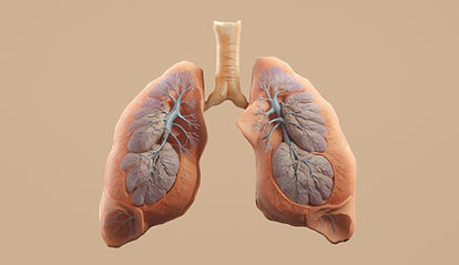 SWO household (indoor) air pollution