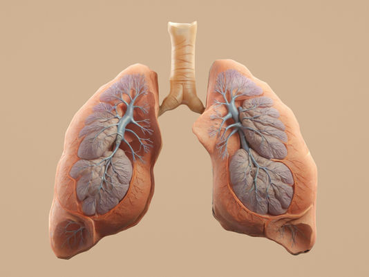 The Gut–Lung Connection: How Your Microbiome Influences Lung Health