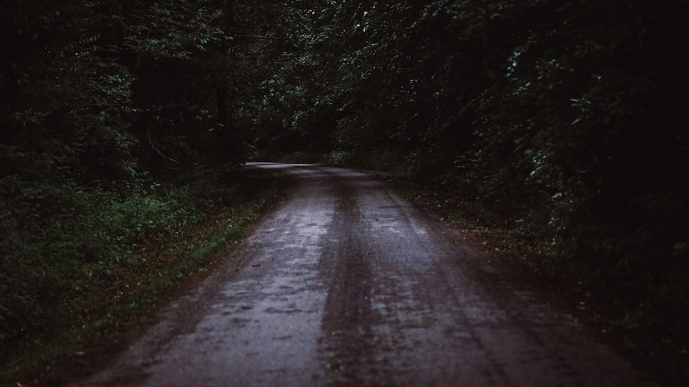 Image by Jan Segatto