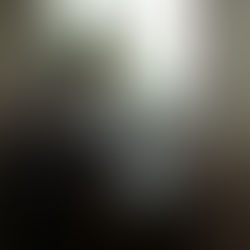 Köpeklerde Pankreatit