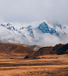 Image de Mick Truyts