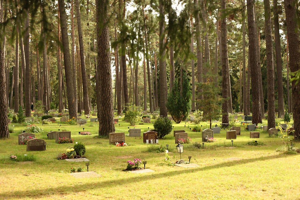Gravestones in a serene cemetery surrounded by tall pine trees. Flowers and greenery cover the ground, creating a peaceful atmosphere.
