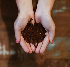 Image hands holding compost