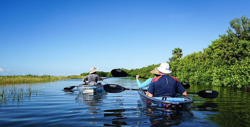 Image by The Tampa Bay Estuary Program