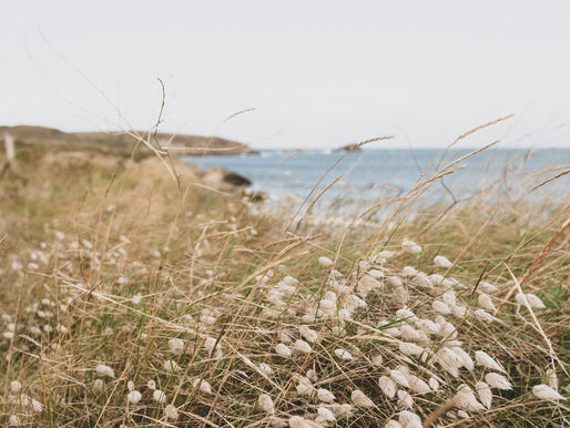 Les maires réclament une « Loi Îles »