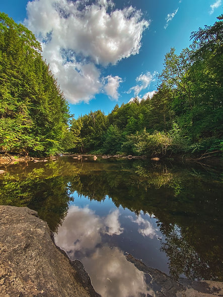 Image by Edgar Moran