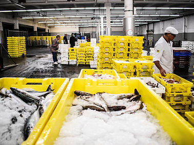 Image by Paul Einerhand