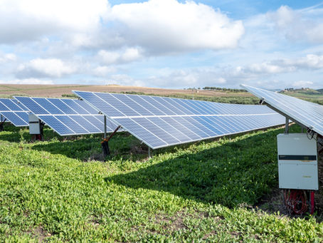 A few small steps to save our planet