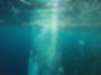 Fluidity In Stillness