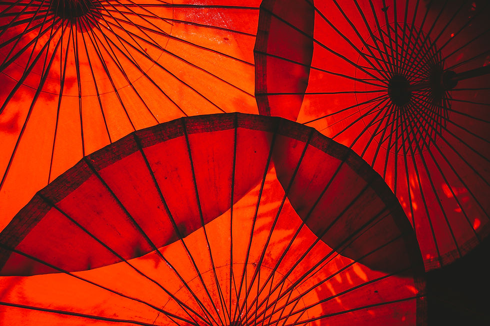 Image by Mark Chan