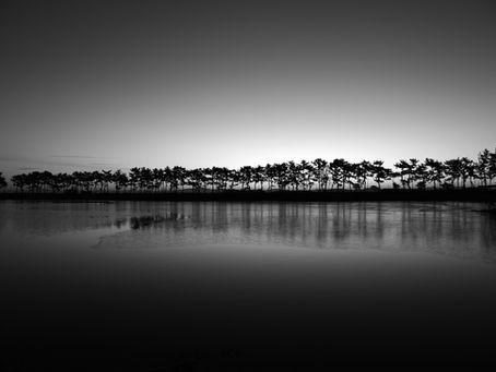 부안 유흥 · 부안 밤문화 즐기기 | 최신 유흥사이트 & 밤문화사이트 안내