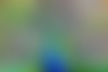 To Be PROUD or Not to Be?