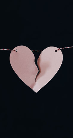 Image by Kelly Sikkema